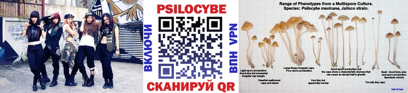 Псилоцибиновые грибы мухоморы Салават