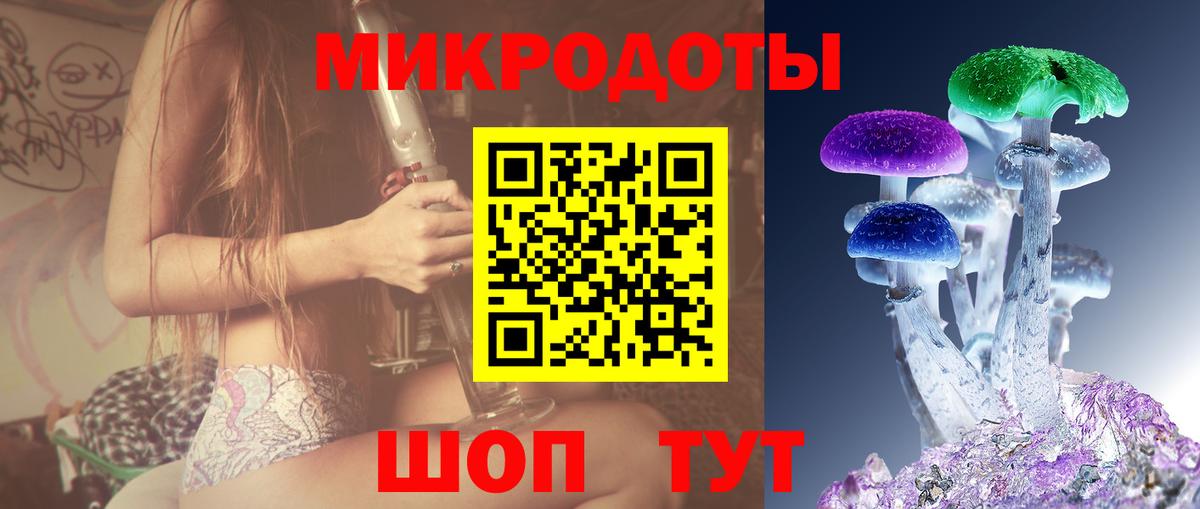 Салават  Галлюциногенные грибы прущие грибы  Галлюциногенные грибы ЛСД  Вход с VPN 